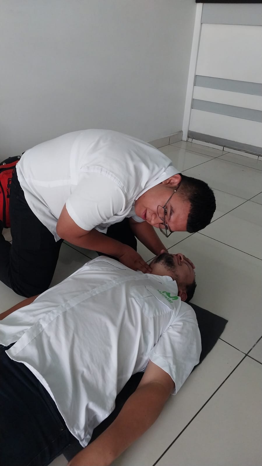 Descripción de la imagen 1