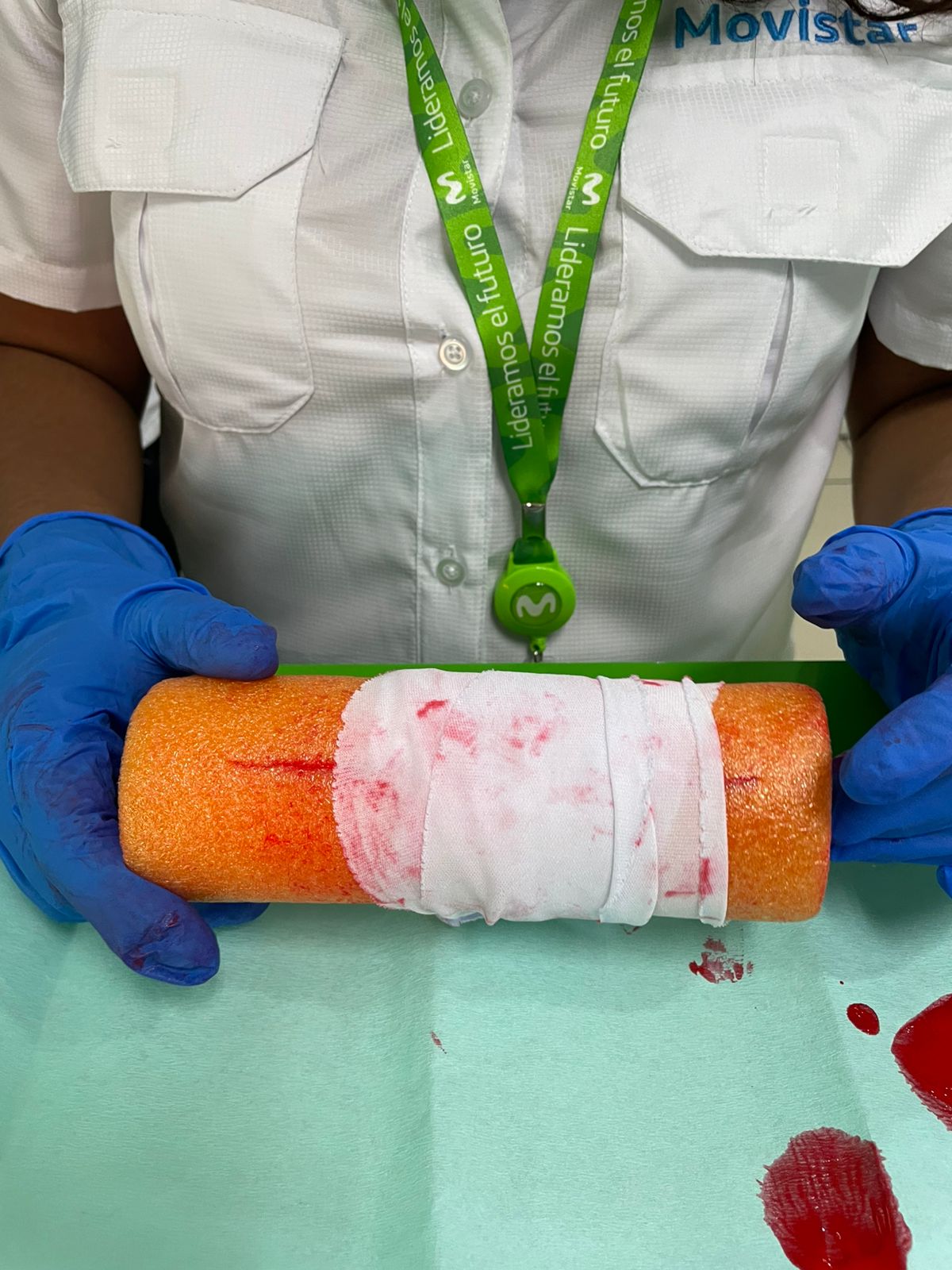 Descripción de la imagen 1