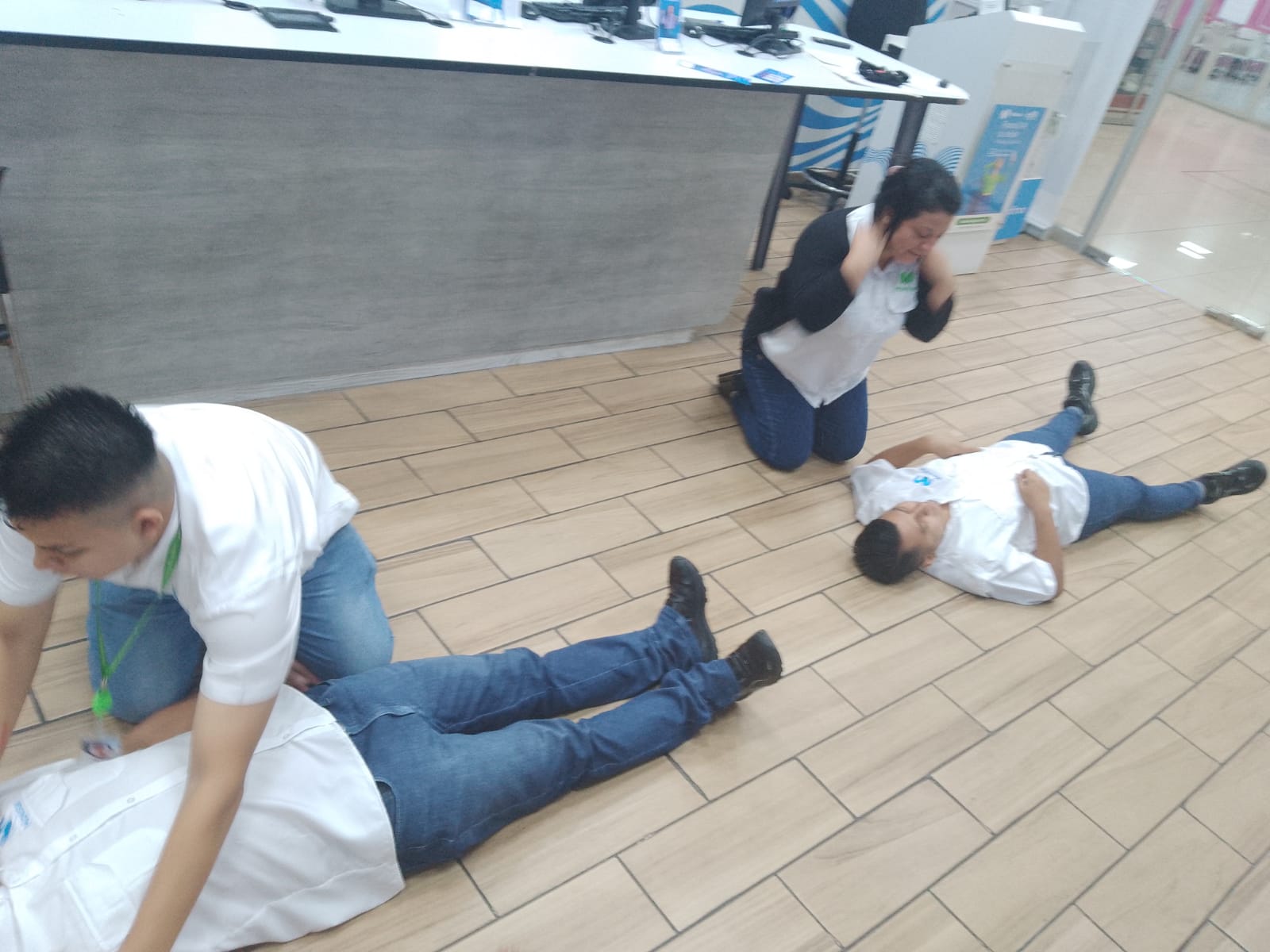 Descripción de la imagen 2