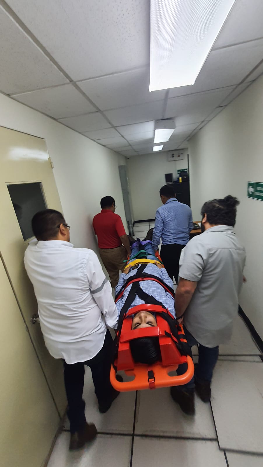 Descripción de la imagen 4