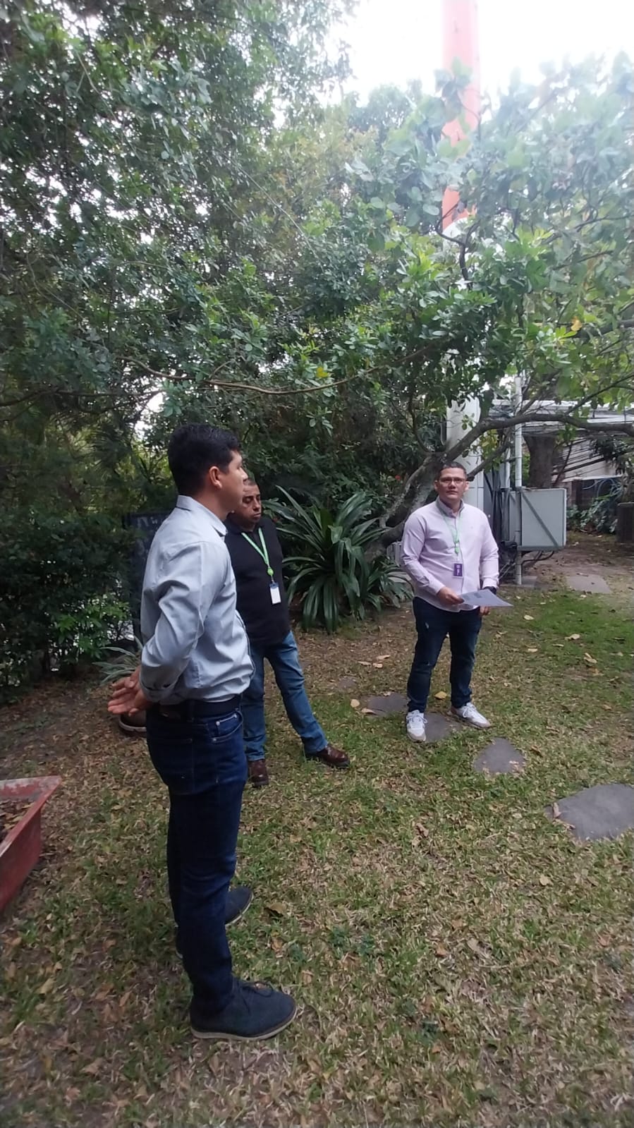 Descripción de la imagen 2