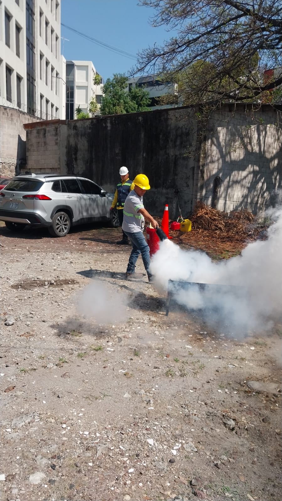 Descripción de la imagen 1